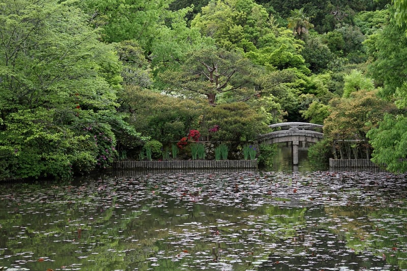Japanese Garden